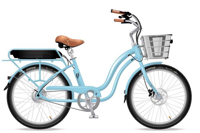 Electric Bike Ride on the Olympic Discovery Trail - Customer Reviews and Feedback