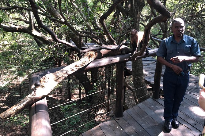 Elephant & Monkey Sanctuary Tour From Johannesburg - Transportation and Logistics