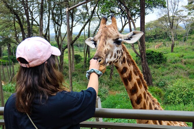 Elephant Orphanage,Nairobi National Park and Giraffe Center Tour. - Host Responses