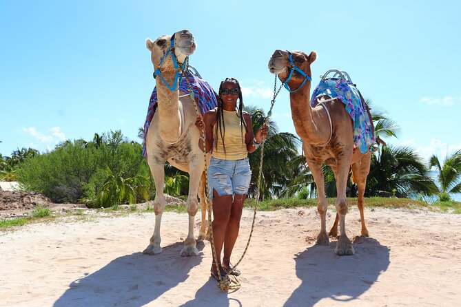 ENJOY UNIQUE CAMEL RIDE in Puerto Morelos With Transportation - Additional Tips and Considerations