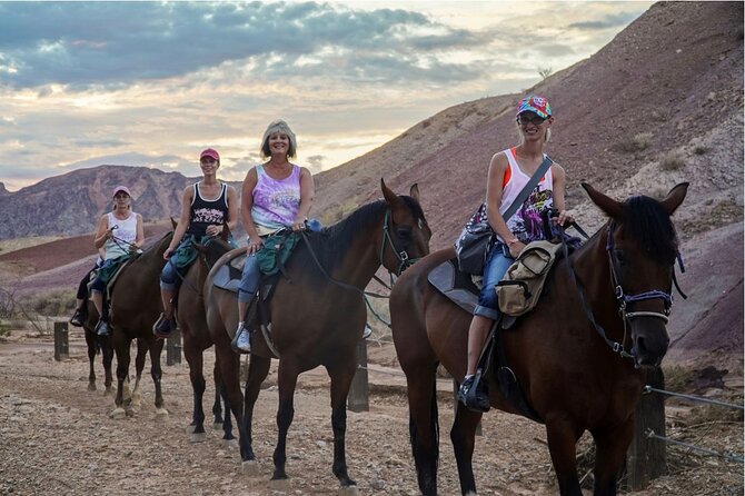 Evening Horseback Ride in Las Vegas - Participant Requirements and Limitations