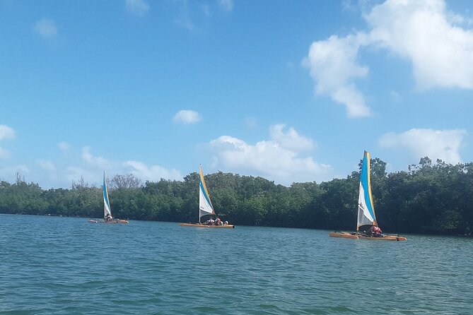 Everglades National Park Kayak/Learn to Sail Tour - Detailed Tour Information