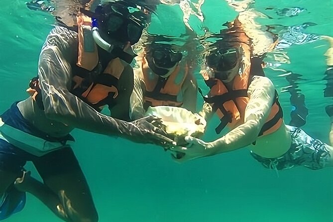 Exclusive: Tulum Ruins, Reef Snorkeling, Cenote and Caves - Cancellation Policy