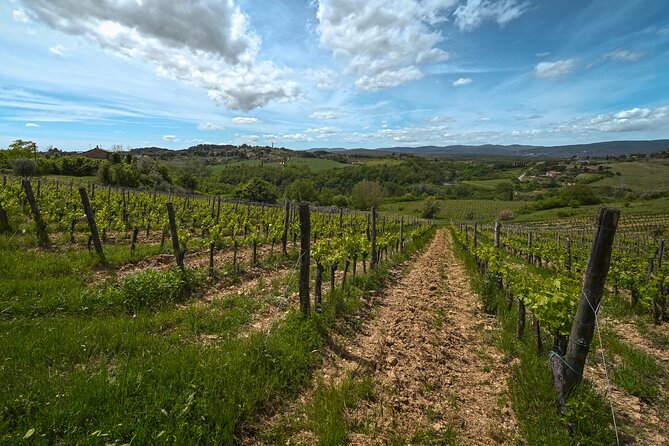 Exclusive Wine Tour and Tasting Experience Review - Traveler Reviews and Ratings