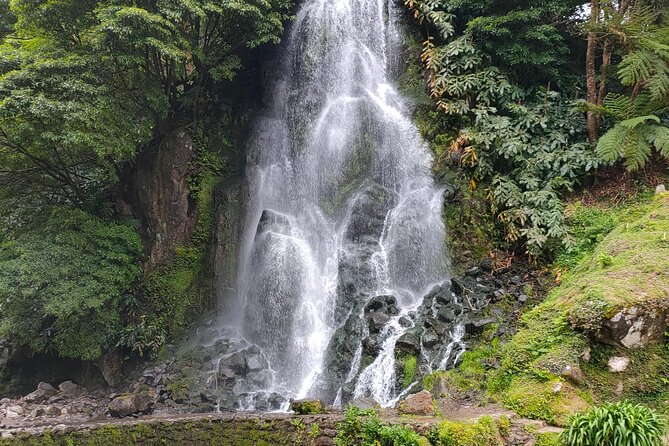 Excursion to Furnas and Nordeste With Furnas Stew - Knowledgeable Local Tour Guides