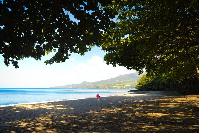 Excursions in the North or in the South of Martinique - Customer Experience Issues