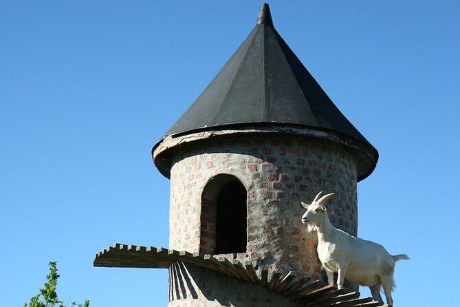 Experience 16 Wine Tasting & 6 Cheese Pairing Across 3 Vineyards - Customer Reviews and Feedback