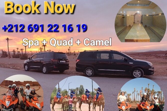 Experience Camel Ride Sunset or Anytime - Traveler Feedback and Ratings