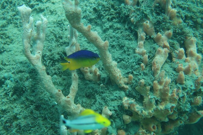 Experience Peanut Island Adventures - Booking and Cancellation Policy