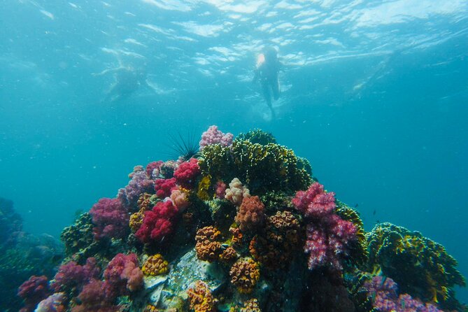 Experience the Koh Lipe Frontier in the Eastern Adang Archipelago - What to Expect on Tour