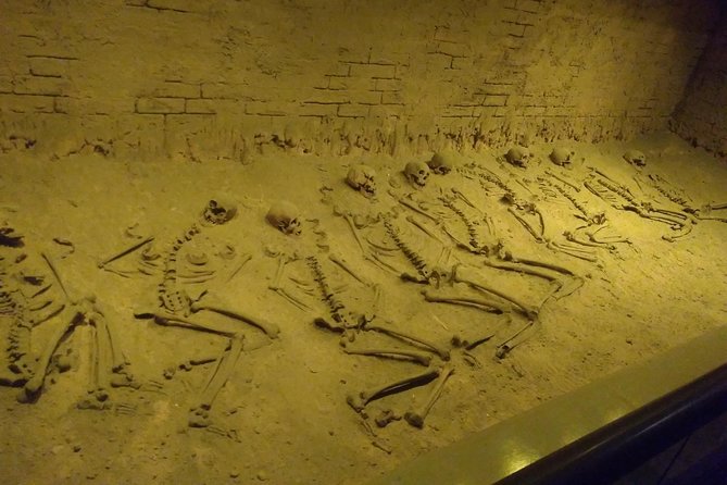 Explore Anthropology Museum in Mexico City - Cultural Significance