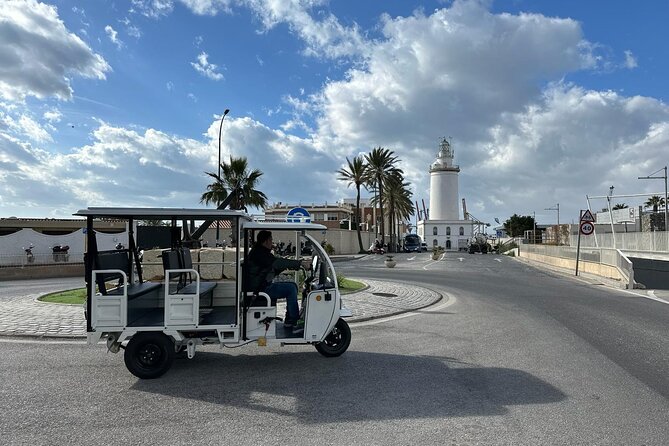 Explore Malaga by TukTuki : Essentials and Private Tour - Customer Feedback Highlights