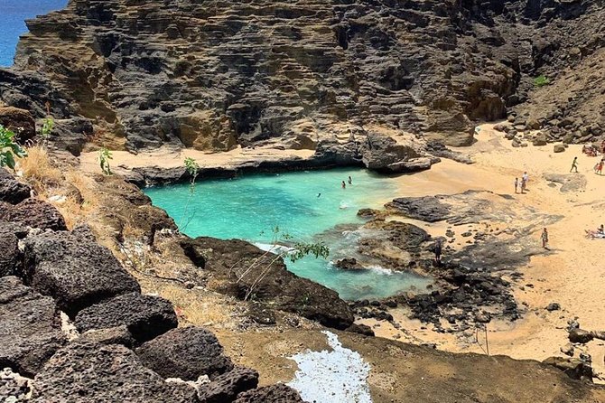 Explore O'Ahu Island With a Friendly Local in a Small Group - Convenient Transportation and Amenities