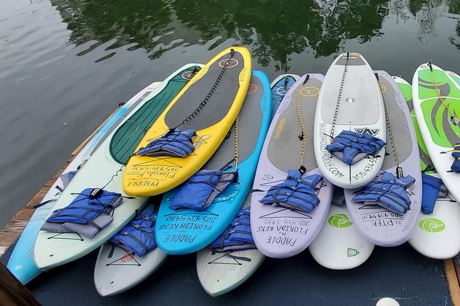 Explore the Mangrove Creeks With an ALL Day Tandem Kayak Rental - Positive Customer Experiences