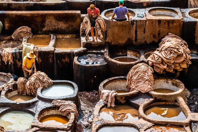 Fantastic Fes Medina Private Guided Walking Tour - Customer Reviews