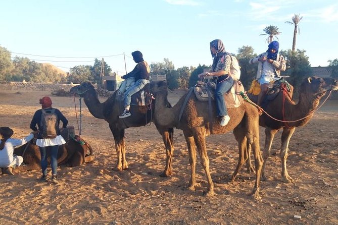 Fes Desert Tours 2 Days - Traveler Reviews and Feedback