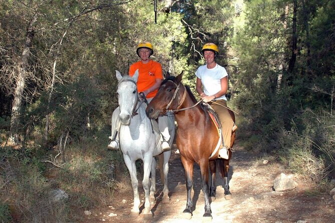 Fethiye Horse Riding Experience With Free Hotel Transfer Service - Reviews and Feedback
