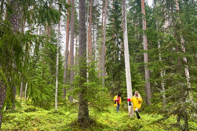 Finland Liesjarvi National Park Wild Berry Foraging Adventure  - Helsinki - Additional Information