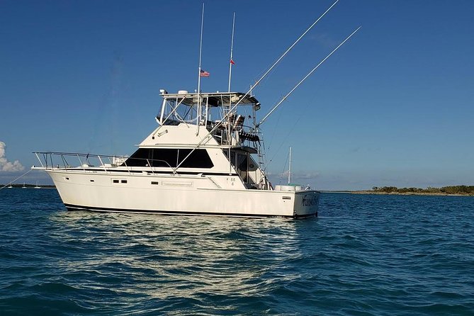 Fishing Charter 6 Hours - Guest Reviews