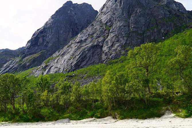 Fjord Sightseeing - Eco Friendly Tesla Model X - Personalized Sightseeing Experience