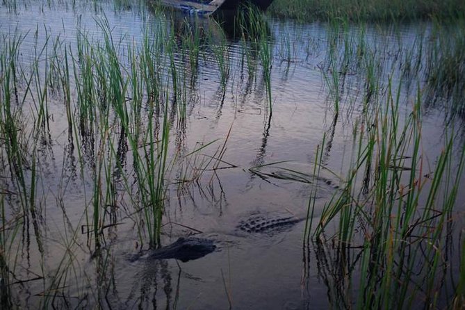 Florida Everglades Private Night Airboat Ride Tour - Transportation and Logistics