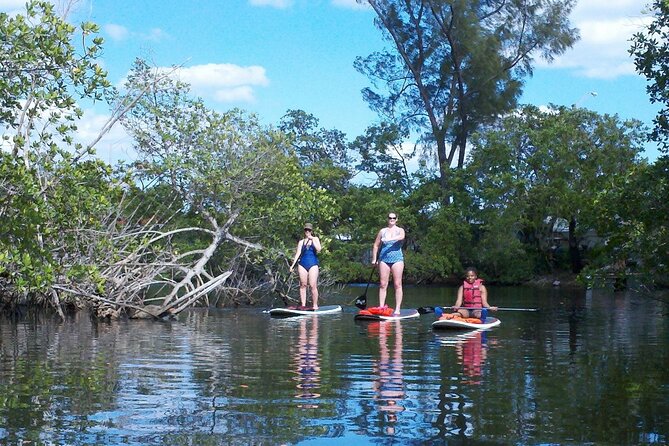 Fort Lauderdale Bonnet House Ground and Guided Paddle Board Kayak - Customer Review Highlights