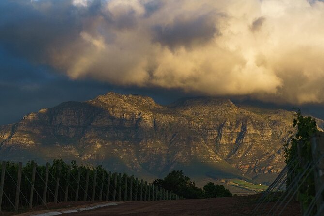 Franschhoek Half Day Winelands Cycle Tour - Booking and Cancellation Policy