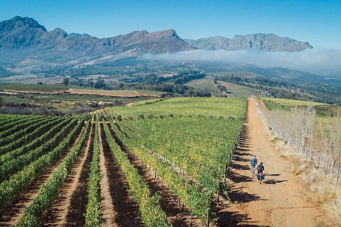 Franschhoek Sip & Cycle Experience Full Day - Private Tour - Customer Reviews and Feedback