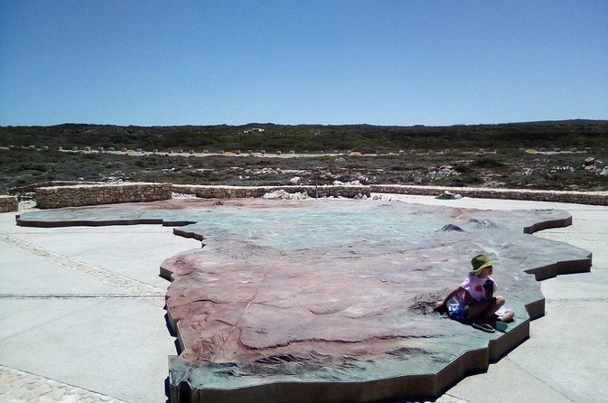 From Cape Town :Cape Agulhas &Whale Watching Tour in Hermanus - Whale Watching in Hermanus
