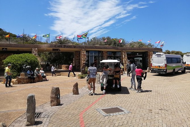 From CapeTown:TableMountain,Penguins &Wine Testing in Constantia - Accessibility Features