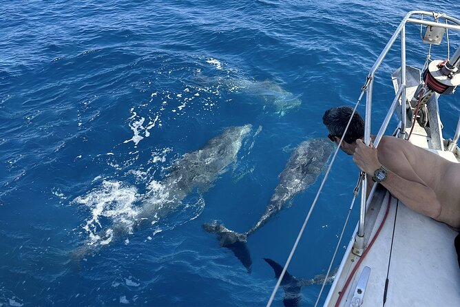 From Catania: Sailboat Tour to Aci Trezza - 4 Hours - Cancellation Policy