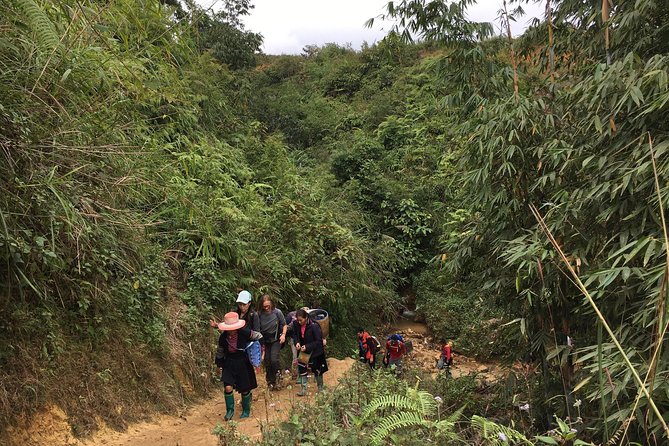 From Hanoi: 3 Days Luxury Sapa Trek & Fansipan Peak With Dcar - Travel Tips and Recommendations