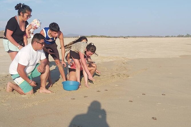 From Huatulco: Turtle Release & Bioluminescence - Bioluminescent Plankton Tour