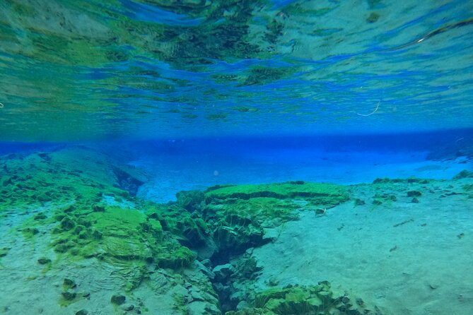 From Reykjavik- Silfra Snorkeling Transfer Included - Age and Health Restrictions