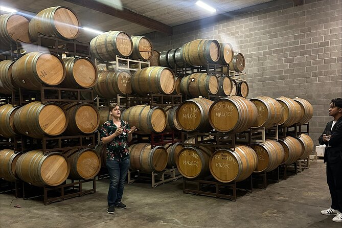 From San Francisco: Napa/Sonoma Wine Tour & 2-Day Hop-on Hop-off - Tips for a Great Experience