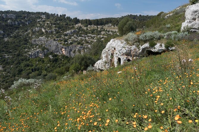 From Syracuse: Pantalica Tour - Guides Expertise Highlighted
