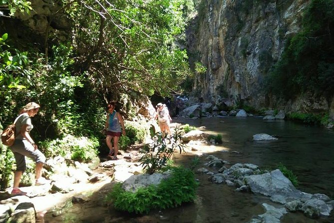 From Tangier : Day Trip to Chefchaouen and Akchour the Waterfalls - Traveler Experiences and Feedback