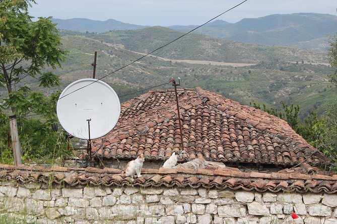 From Tirana Day Trip to Berat -Historical Walking - Tips for Your Trip