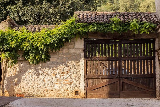 From Verona: Prosecco & Classic Method Sparkling Wine Tour, With Light Lunch - Cancellation and Accessibility
