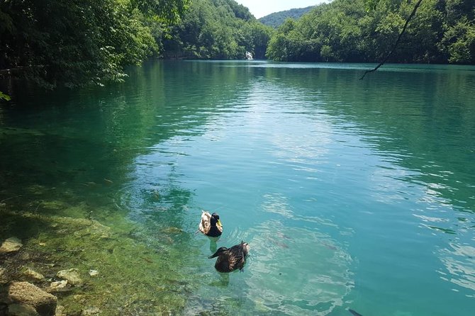 From Zagreb to Split or Trogir: Private Transfer With Plitvice Lakes - Since You Asked