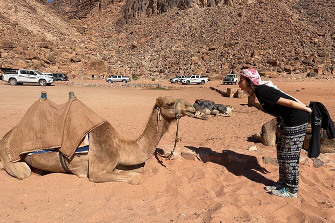 Full Day 4x4 Classic Desert Tour With Overnight in Private Tent - Bedouin Camp Overnight