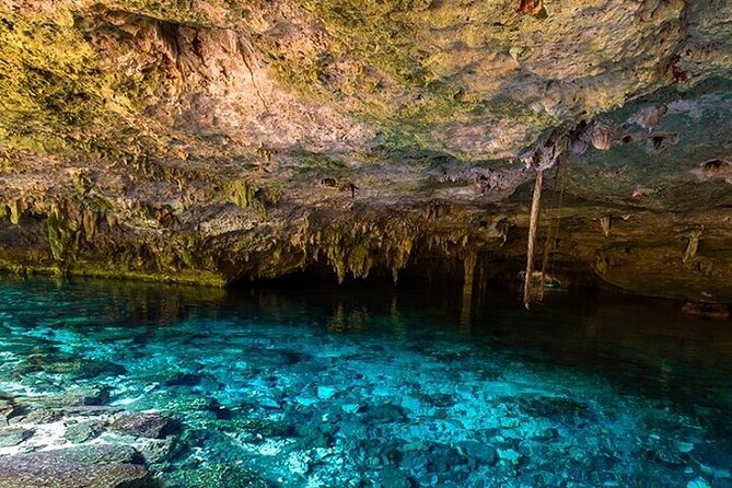 Full Day Adventure: Horses , Atv, Ziplines & Cenote W/Lunch - Concerns Raised