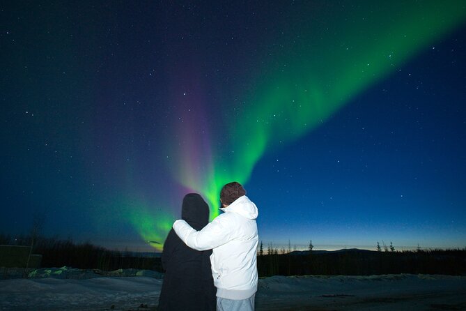 Full Day Arctic Circle Tour - What to Expect on the Tour