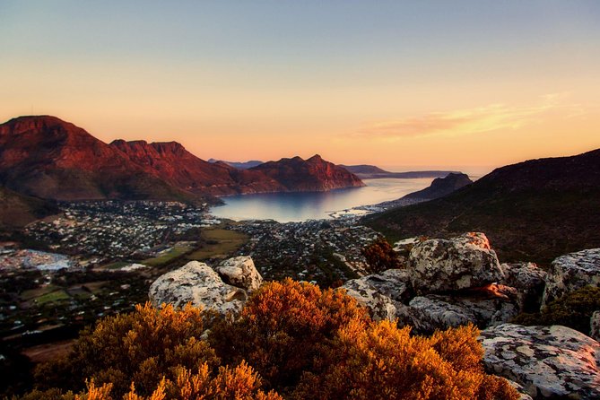 Full-Day Best of the Cape, Peninsula, Cape Point and Stellenbosch Tour - Traveler Experiences and Feedback