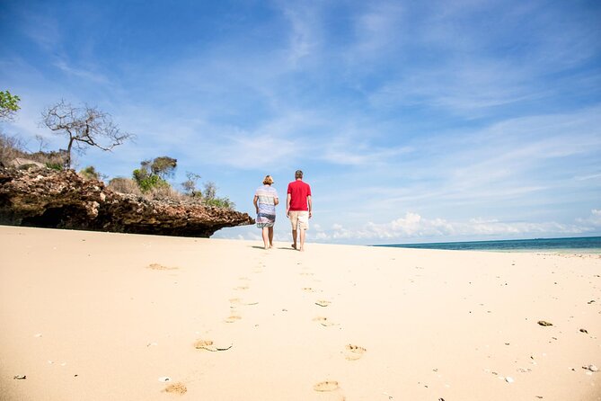 Full-Day Blue Lagoon and Sandbank Boat Tour From Zanzibar ( Safari Blue) - Accessibility Features