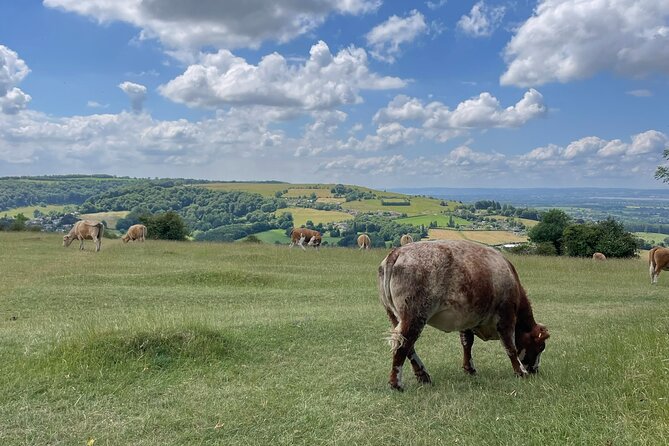 Full Day Cotswolds Tour; Where Opulence and Heritage Converge - Special Offers and Savings