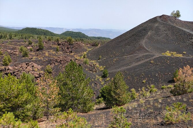 Full Day Etna Immersive Trek & Taste From Taormina and Naxos - Unforgettable Experiences