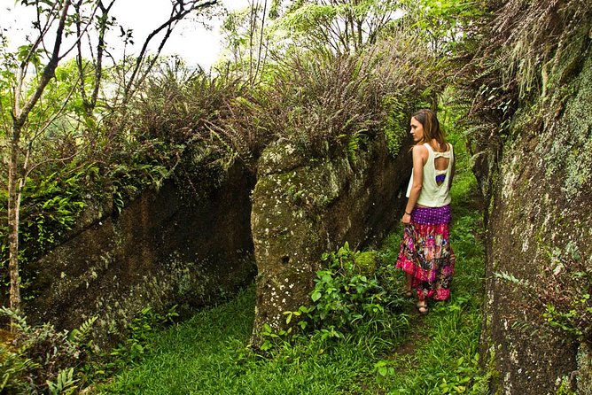Full Day Floreana Tour - Guest Feedback and Reviews
