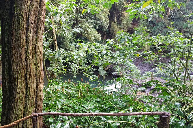 Full Day Hiking Trail Waterfalls - in Lomba De São Pedro - Azores - Ask Away