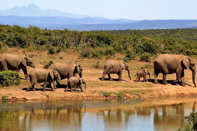 Full Day Hluhluwe Imfolozi Game Reserve From Durban - Frequently Asked Questions